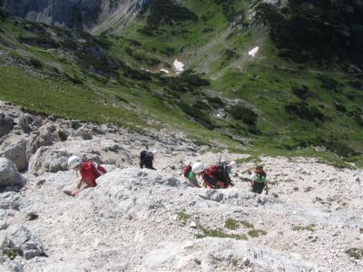 Kliknite za ogled večje slike