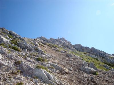 Kliknite za ogled večje slike