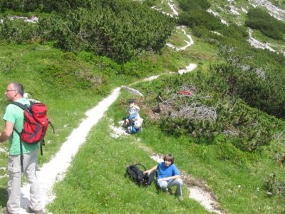 Kliknite za ogled večje slike