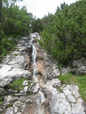 Kliknite za ogled večje slike