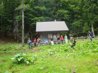 Kliknite za ogled večje slike