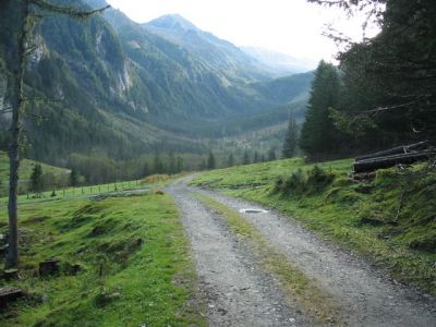 Kliknite za ogled večje slike