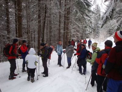 Kliknite za ogled večje slike