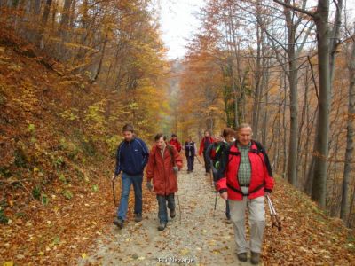 Kliknite za ogled večje slike