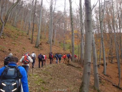 Kliknite za ogled večje slike