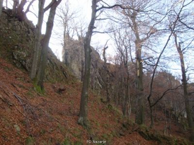 Kliknite za ogled večje slike