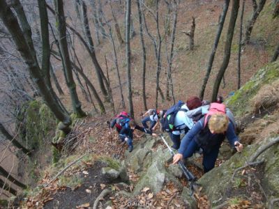 Kliknite za ogled večje slike