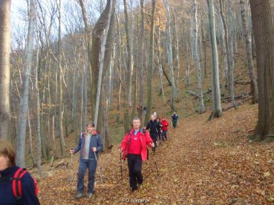 Kliknite za ogled večje slike