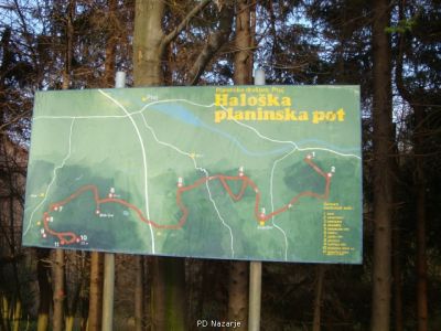 Kliknite za ogled večje slike