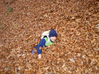 Kliknite za ogled večje slike
