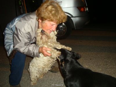 Kliknite za ogled večje slike