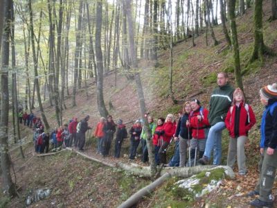 Kliknite za ogled večje slike