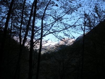 Kliknite za ogled večje slike