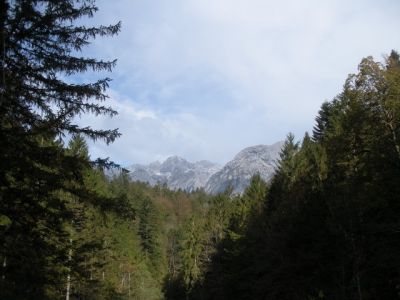 Kliknite za ogled večje slike