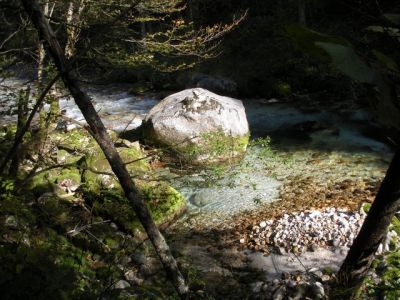 Kliknite za ogled večje slike