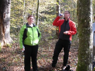 Kliknite za ogled večje slike