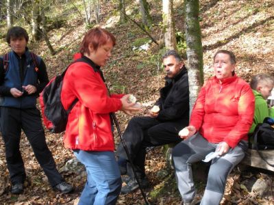 Kliknite za ogled večje slike