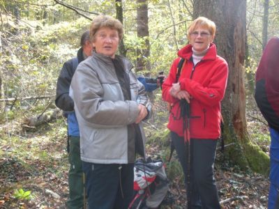 Kliknite za ogled večje slike