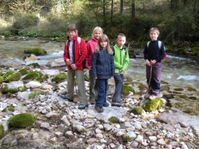 Kliknite za ogled večje slike