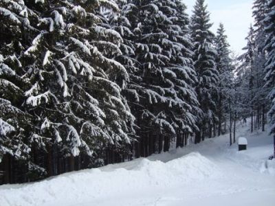 Kliknite za ogled večje slike