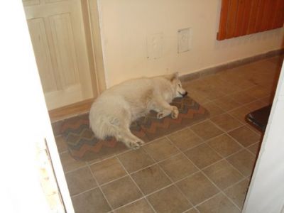 Kliknite za ogled večje slike