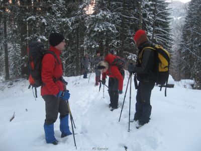 Kliknite za ogled večje slike