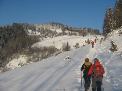 Kliknite za ogled večje slike