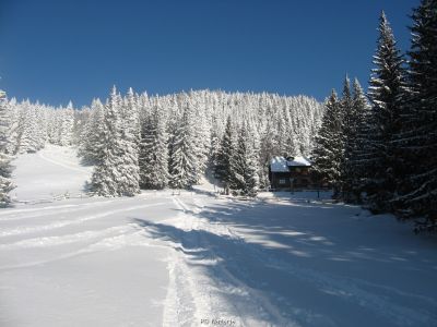 Kliknite za ogled večje slike