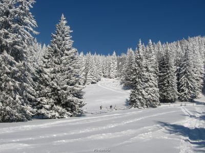 Kliknite za ogled večje slike