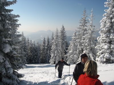Kliknite za ogled večje slike