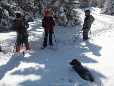 Kliknite za ogled večje slike