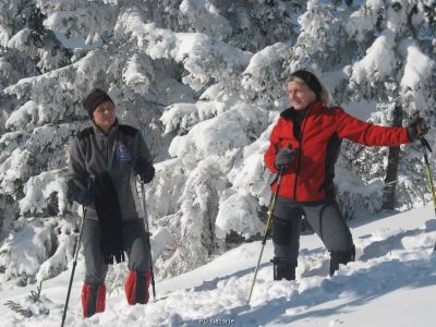 Kliknite za ogled večje slike