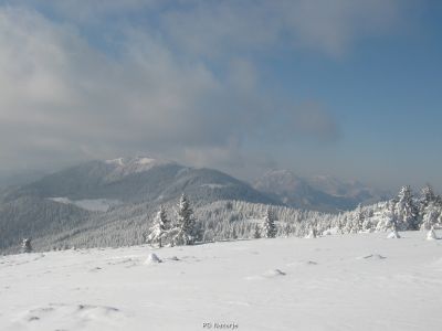 Kliknite za ogled večje slike