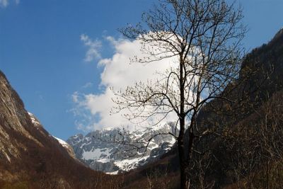 Kliknite za ogled večje slike