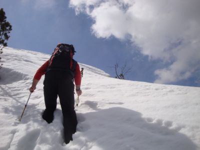Kliknite za ogled večje slike