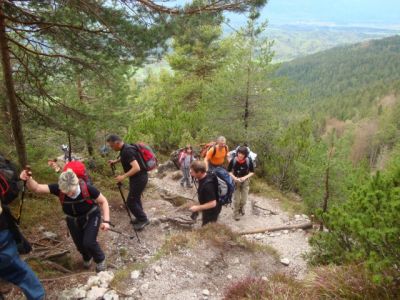 Kliknite za ogled večje slike