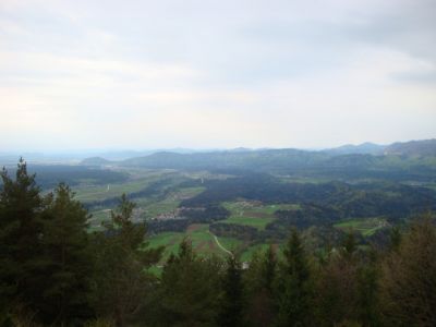 Kliknite za ogled večje slike