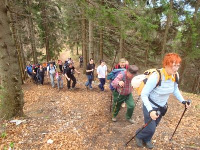 Kliknite za ogled večje slike