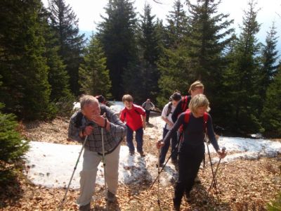 Kliknite za ogled večje slike
