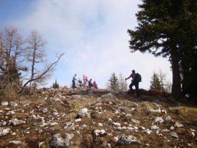 Kliknite za ogled večje slike