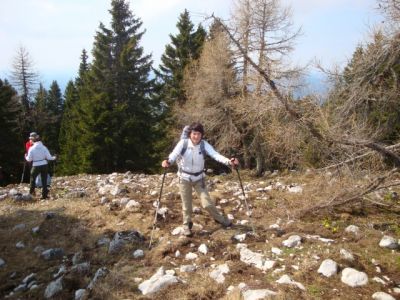 Kliknite za ogled večje slike