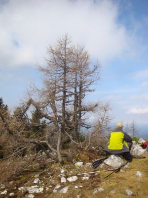 Kliknite za ogled večje slike