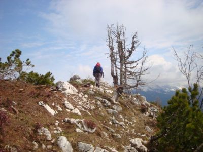 Kliknite za ogled večje slike