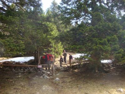 Kliknite za ogled večje slike