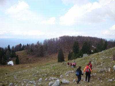 Kliknite za ogled večje slike