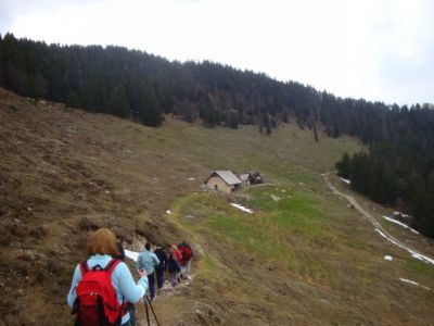 Kliknite za ogled večje slike