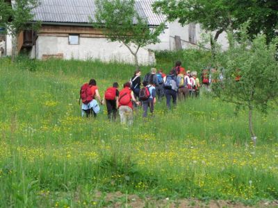 Kliknite za ogled večje slike