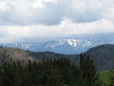 Kliknite za ogled večje slike