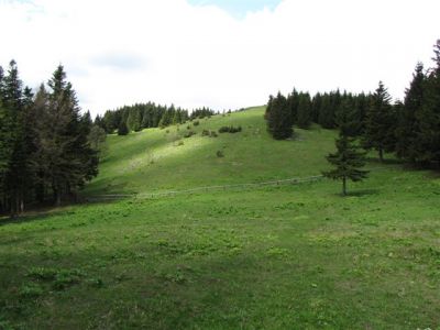 Kliknite za ogled večje slike