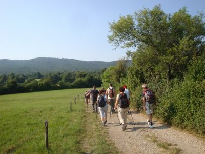Kliknite za ogled večje slike